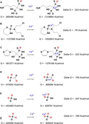 Role of Phosphorus-Containing Molecules on the Formation of Nano-Sized Calcium Phosphate for Bone Therapy